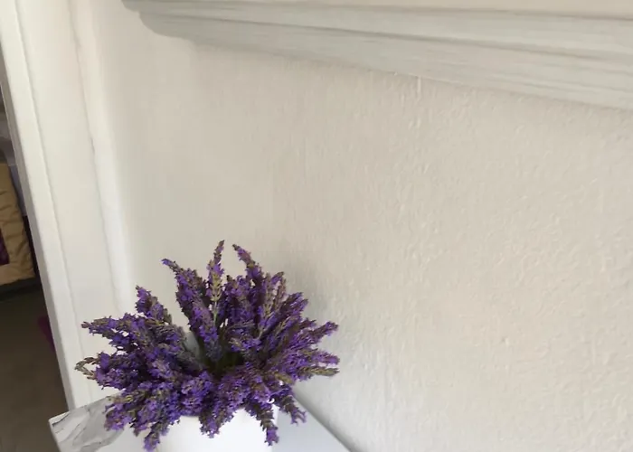 Summer Island Apartament