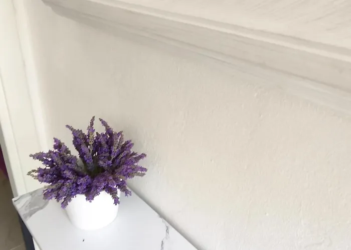 Summer Island Apartament Bol